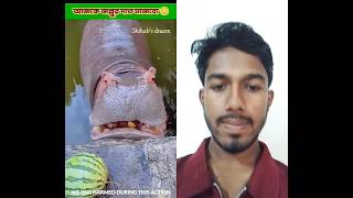 “A Toothbrushing Battle Started at Home! 😂🪥”#shorts #shortvideo #shortsfeed