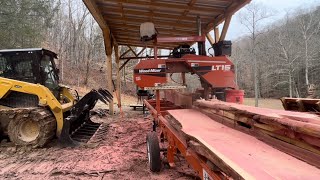 Huge Cedar Logs Milled on the WoodMizer LT15