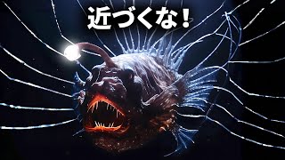 深海魚の恐ろしい交尾方法