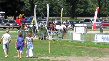 Renswoude 2010 015.MOVWatch Out CCI1*