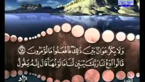 سورة البقرة من آية 67 إلى آية 69