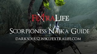 Scorpioness Najka Boss Guide - Dark Souls 2 Wiki Fextralife