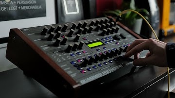 Gravity collapse II | Quasimidi Polymorph