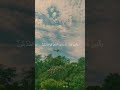 تلاوه خاشعه من سوره الحديد