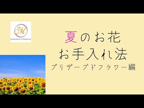 夏・お花のお手入れ法～プリザーブドフラワー編～