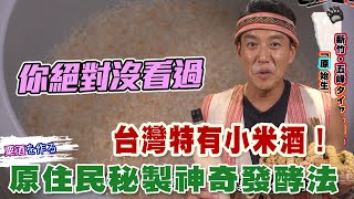 【精華版】台灣原住民小米酒！你絕對沒看過的秘制發酵法 