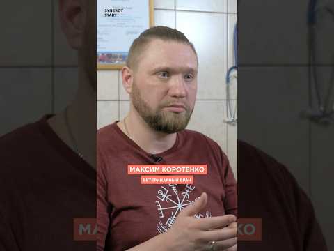 Хочу стать ветеринаром: что нужно знать? #100профессий #профориентация #ветеринар