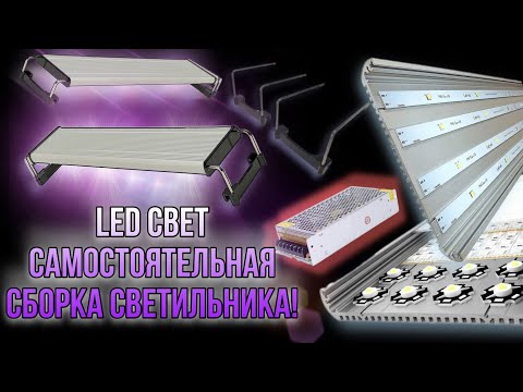 Новый свет на