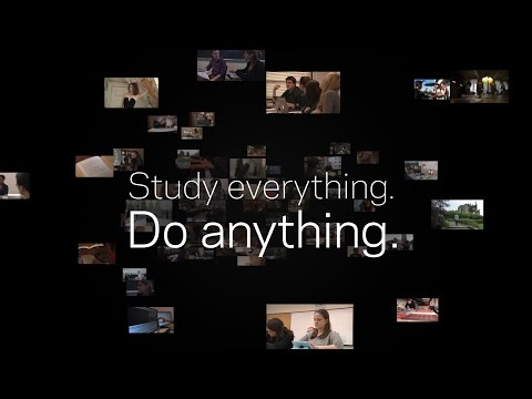 Study Everything. Do