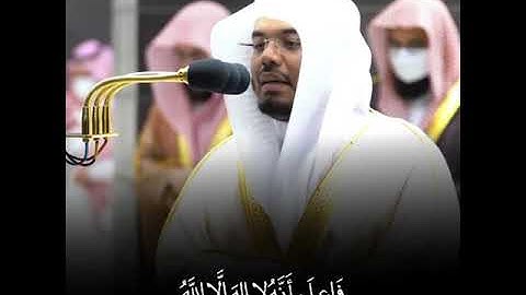فاعلم أنه لا إله إلا الله | تلاوة كردية خاشعة لإمام الحرم المكي ياسر الدوسري 😴🤍 | حالات واتس دينية