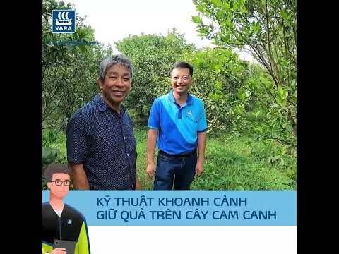 KỸ THUẬT KHOANH
