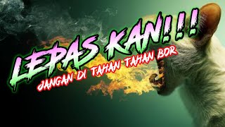 🔴 LEPAS KAN!!! REMIX LAMPUNG MUSIK LEPAS ARR DINDA SADAM