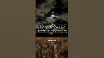 ﴿ما سلككم في سقر...﴾ تلاوة عطرة للقارئ الشيخ ياسر الدوسري ✨