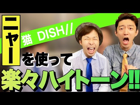 【海外公認ボイストレーナー直伝】「DISH//猫」の最高音をあっさり出す奇跡のボイストレーニングとは！？