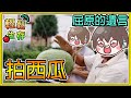 【繁星】Minecraft 週一輕鬆生存-  🍉拍西瓜✋ 屈原的遺言 || 我的世界 ||【精華】