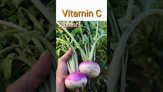 Turnips are rich in vitamins nutritionfacts antioxidant health vitamin food healthbenefits
