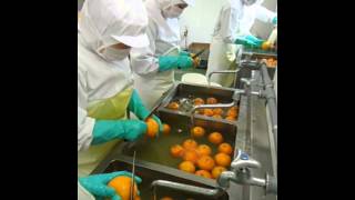 【オレンジスライスジャム・オレンジの下処理】　－ローズメイ秋田工場－