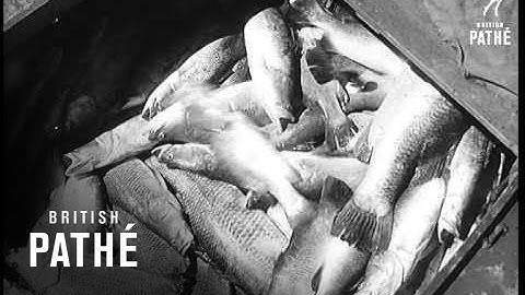 Selected Originals - Fabulous Fishing (1959)