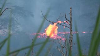 Major Fissure Eruptions, Huge Lava Flows, Fountains And Explosions, Lower Puna, Hi