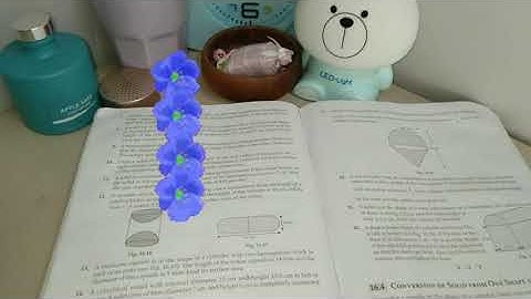 MBSE Class 10: Areas & Volumes Video 1 (Ex 16.1, Q11) | English and Mizo