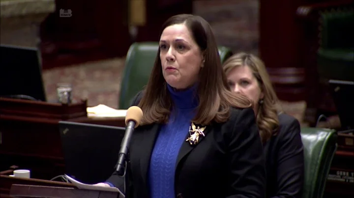 Pa. Lawmaker Lisa Baker shares personal story duri...