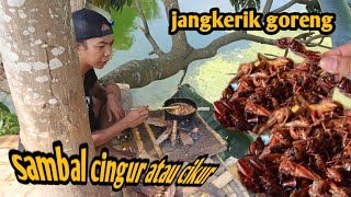 Download Lagu Jangkerik goreng sambal cingur aliyas cikur di dapur pohon MP3 Download Lagu Jangkerik goreng sambal cingur aliyas cikur di dapur pohon MP3