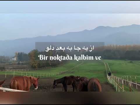 Mohsen Yeganeh ~ Oboor ~ Farsça Şarkı [Türkçe Altyazılı]