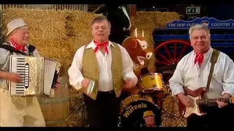 The Wurzels 