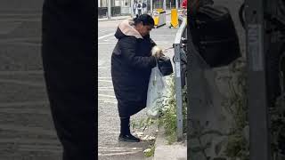 A non-local seen placing a seagull into a curry tray !