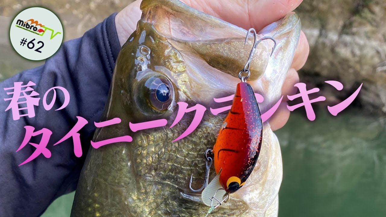 mibroTV#62 春のタイニークランキン