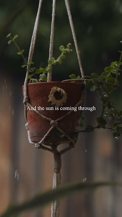 Morning 🌼 #acoustic #karaoke #folkcover #folkmusic #folksong #folksongs #morning #morningstory