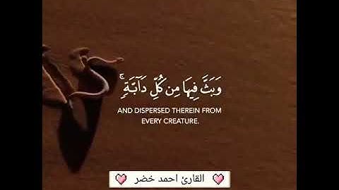 القارئ احمد خضر | تلاوة خاشعة | راحة نفسية | حالات واتس اب دينيه | حالات دينيه | ستوريات واتس اب