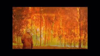 Video thumbnail of "Song about the bush fires in Australia, Run Run Run- by Jesse Lazaroo,"