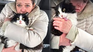 Woman Rescues a Freezing Stray Cat And She Can't Stop Thanking Her