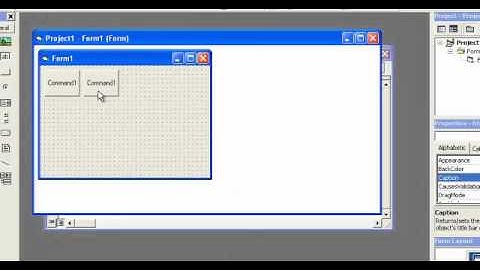 Video 12: VB 6 Programming, Control Arrays, Part 1