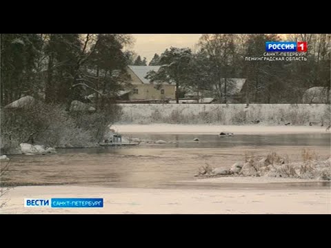 Video: Gradsko Vijeće Sankt Peterburga 17.02.2021