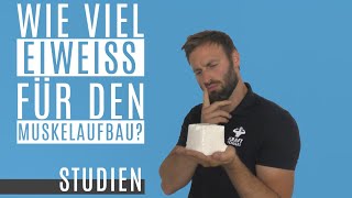 wie viel Eiweiß pro Tag für Muskelaufbau? – wie viel Eiweiß sollte man einnehmen?