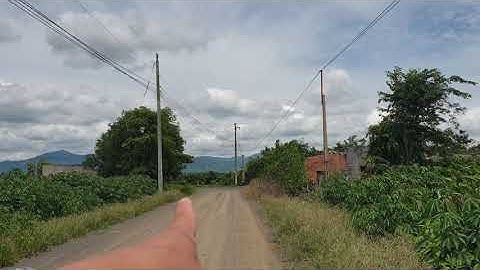 NVT1156  Lô đất mặt tiền đường hơn 200m xã Bình Châu, Xuyên Mộc dt 1.3 hecta