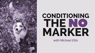Michael Ellis on Conditioning the NO Marker