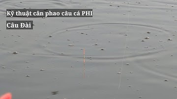 Chia sẻ kỹ thuật cân phao câu cá Phi và các lưu ý khi câu Đài | Duy Saigon fishing