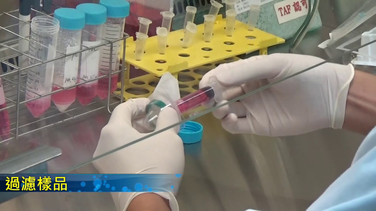 細胞毒性試驗 YouTube