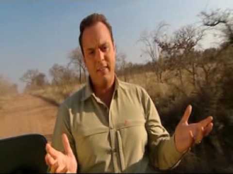 Frans Bauer - Hé lekker ding