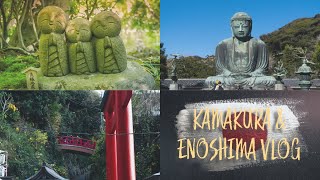 Kamakura & Enoshima Day Trip from Tokyo | Travel Vlog