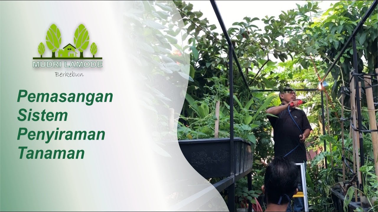 Pemasangan Sistem Penyiraman Tanaman 