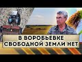 В Воробьевке свободной земли нет - КФХ Свирин