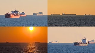 Cruise Ship Sails Through Dozens of Cargo Ships Outside  Galveston Texas