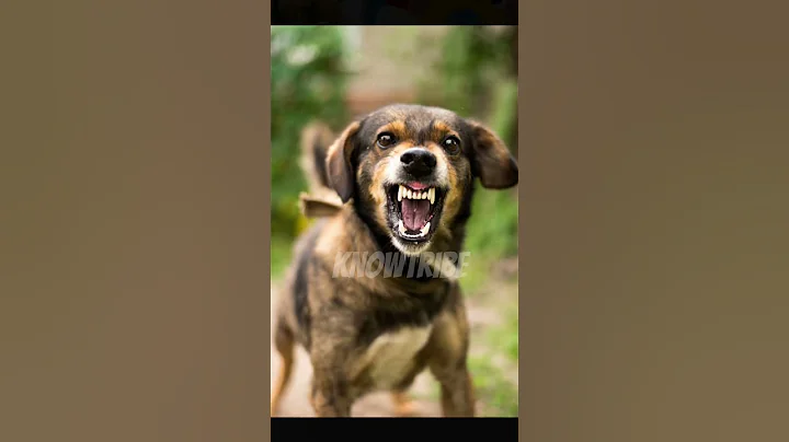 Hand-made craft by bottle 🤯