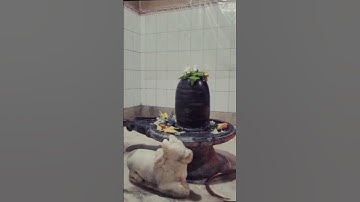 Moha shivratri Status Har Har Shambhu Shiv Mahadeva | AdiYogi🔱 #shorts