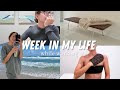 Work Week in my Life // Crazy day at work, new furniture, self tanning routine & more!