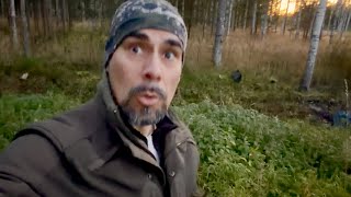 We Were Not Alone in the Forest…